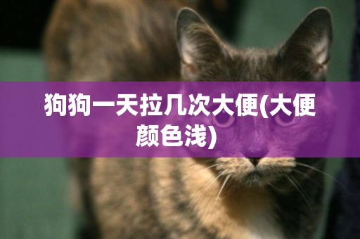 狗狗一天拉幾次大便(大便顏色淺) 