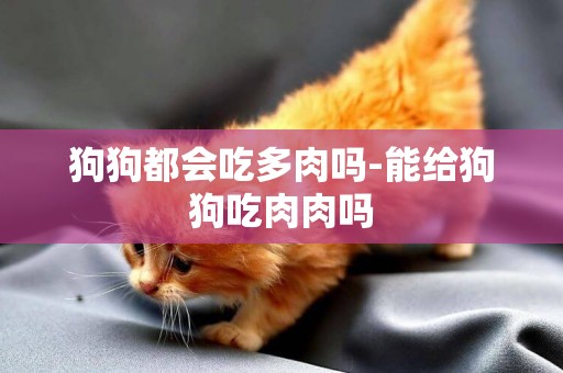 狗狗都會吃多肉嗎-能給狗狗吃肉肉嗎
