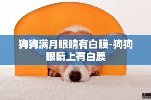 狗狗滿月眼睛有白膜-狗狗眼睛上有白膜