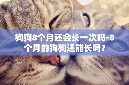 狗狗8個月還會長一次嗎-8個月的狗狗還能長嗎？