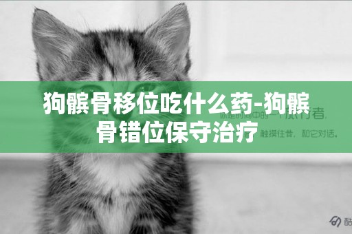 狗髕骨移位吃什么藥-狗髕骨錯位保守治療