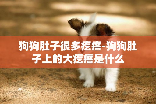 狗狗肚子很多疙瘩-狗狗肚子上的大疙瘩是什么
