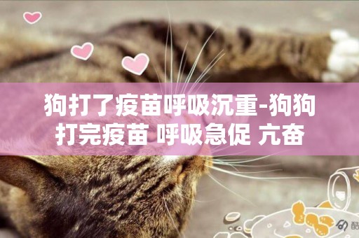 狗打了疫苗呼吸沉重-狗狗打完疫苗 呼吸急促 亢奮