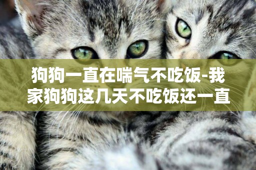 狗狗一直在喘氣不吃飯-我家狗狗這幾天不吃飯還一直喘氣是怎么回事