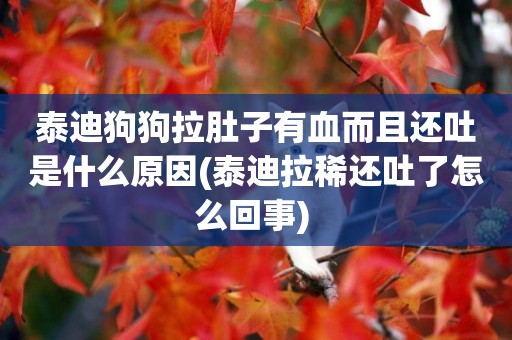 泰迪狗狗拉肚子有血而且還吐是什么原因(泰迪拉稀還吐了怎么回事) 