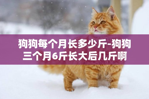 狗狗每個月長多少斤-狗狗三個月6斤長大后幾斤啊