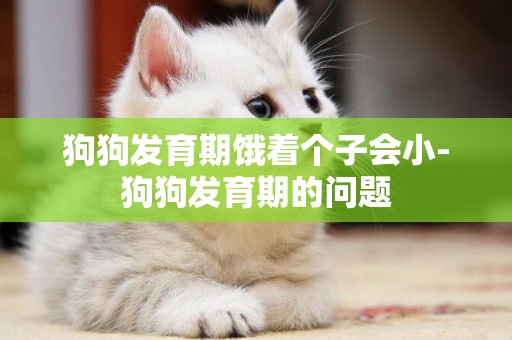 狗狗發育期餓著個子會小-狗狗發育期的問題