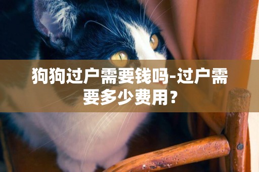 狗狗過戶需要錢嗎-過戶需要多少費用？