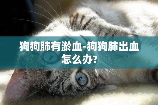 狗狗肺有淤血-狗狗肺出血怎么辦?