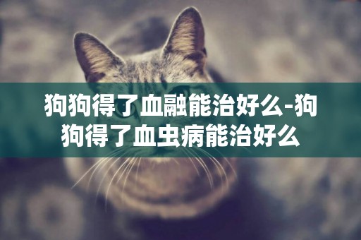 狗狗得了血融能治好么-狗狗得了血蟲病能治好么