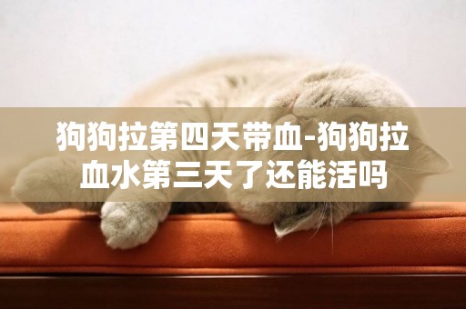 狗狗拉第四天帶血-狗狗拉血水第三天了還能活嗎