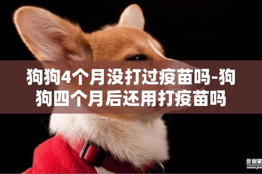 狗狗4個月沒打過疫苗嗎-狗狗四個月后還用打疫苗嗎