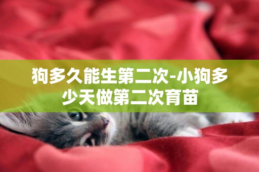 狗多久能生第二次-小狗多少天做第二次育苗