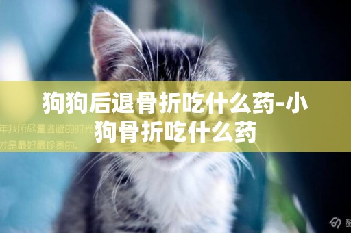 狗狗后退骨折吃什么藥-小狗骨折吃什么藥