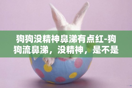 狗狗沒精神鼻涕有點紅-狗狗流鼻涕，沒精神，是不是犬瘟？