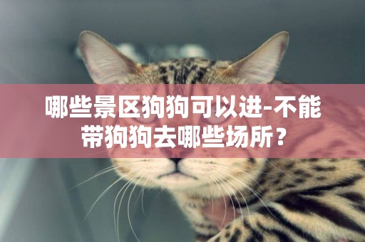 哪些景區狗狗可以進-不能帶狗狗去哪些場所？