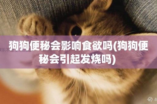 狗狗便秘會影響食欲嗎(狗狗便秘會引起發燒嗎) 