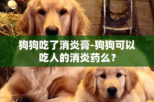 狗狗吃了消炎膏-狗狗可以吃人的消炎藥么？