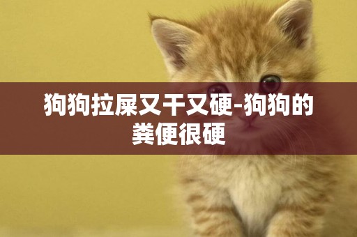 狗狗拉屎又干又硬-狗狗的糞便很硬