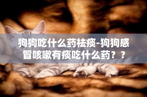 狗狗吃什么藥祛痰-狗狗感冒咳嗽有痰吃什么藥？？