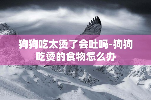 狗狗吃太燙了會吐嗎-狗狗吃燙的食物怎么辦