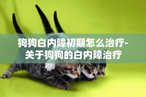 狗狗白內障初期怎么治療-關于狗狗的白內障治療