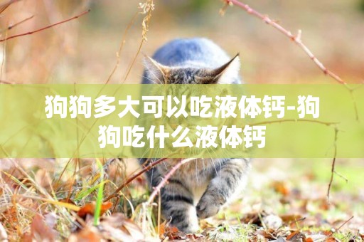 狗狗多大可以吃液體鈣-狗狗吃什么液體鈣