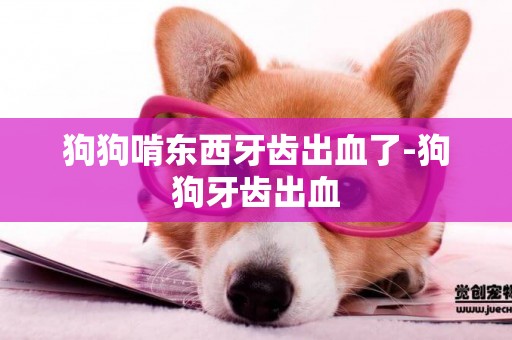 狗狗啃東西牙齒出血了-狗狗牙齒出血