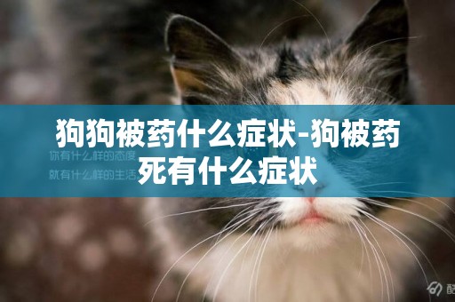 狗狗被藥什么癥狀-狗被藥死有什么癥狀