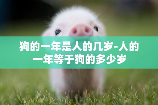 狗的一年是人的幾歲-人的一年等于狗的多少歲