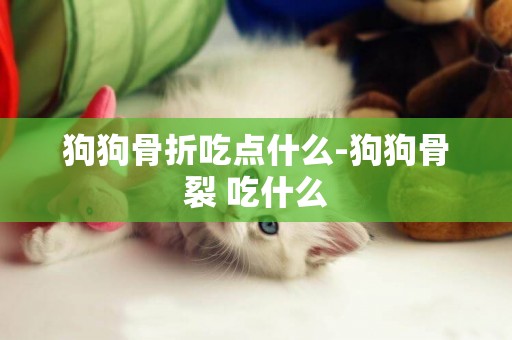 狗狗骨折吃點什么-狗狗骨裂 吃什么