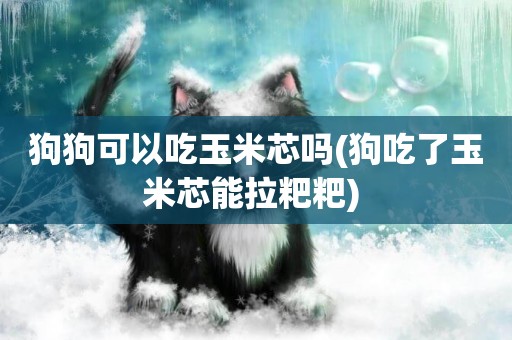 狗狗可以吃玉米芯嗎(狗吃了玉米芯能拉粑粑) 