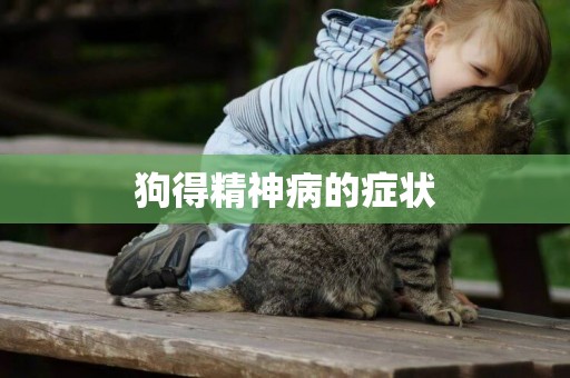 狗得精神病的癥狀