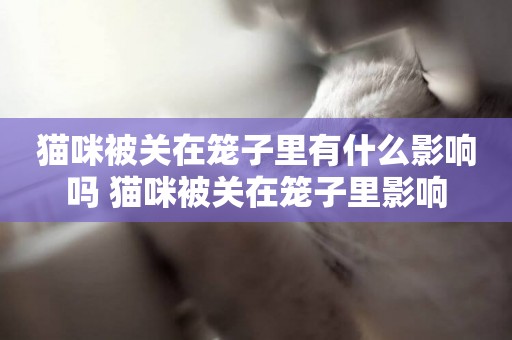 貓咪被關在籠子里有什么影響嗎 貓咪被關在籠子里影響