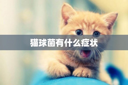 貓球菌有什么癥狀