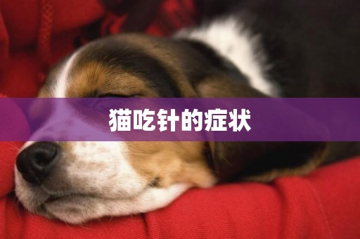 貓吃針的癥狀