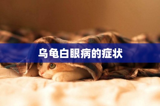 烏龜白眼病的癥狀