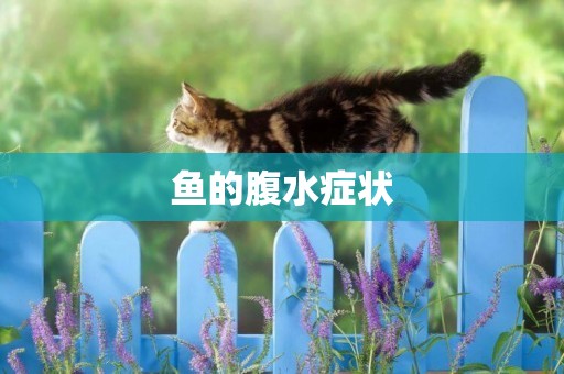 魚的腹水癥狀
