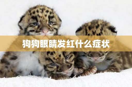 狗狗眼睛發紅什么癥狀