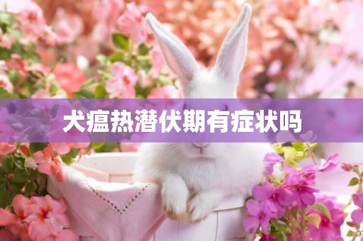 犬瘟熱潛伏期有癥狀嗎