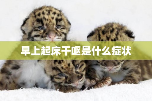 早上起床干嘔是什么癥狀