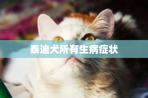 泰迪犬所有生病癥狀