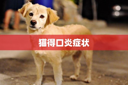 貓得口炎癥狀