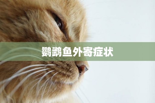 鸚鵡魚外寄癥狀