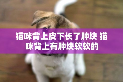 貓咪背上皮下長了腫塊 貓咪背上有腫塊軟軟的