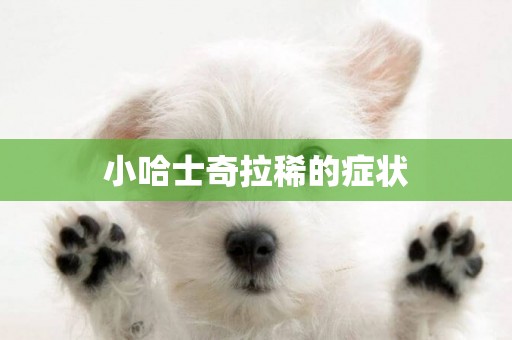 小哈士奇拉稀的癥狀