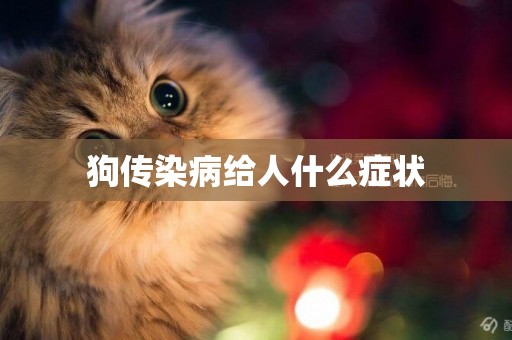狗傳染病給人什么癥狀