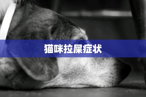 貓咪拉屎癥狀