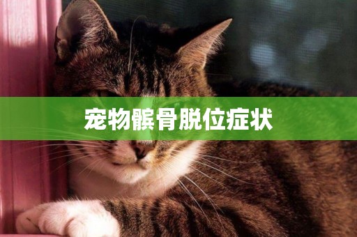 寵物髕骨脫位癥狀