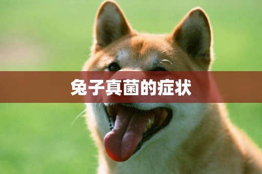 兔子真菌的癥狀